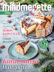 Mindmegette Magazin